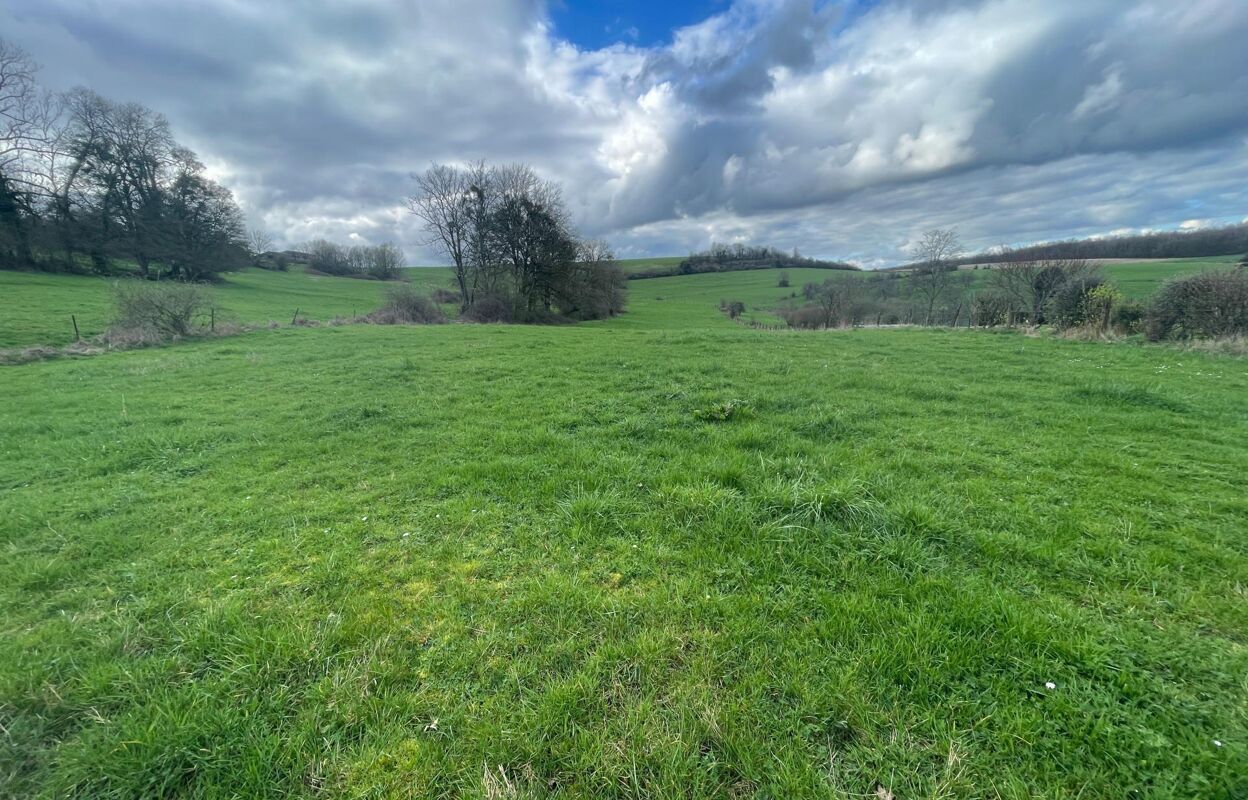 terrain  pièces 1500 m2 à vendre à Chagny (08430)