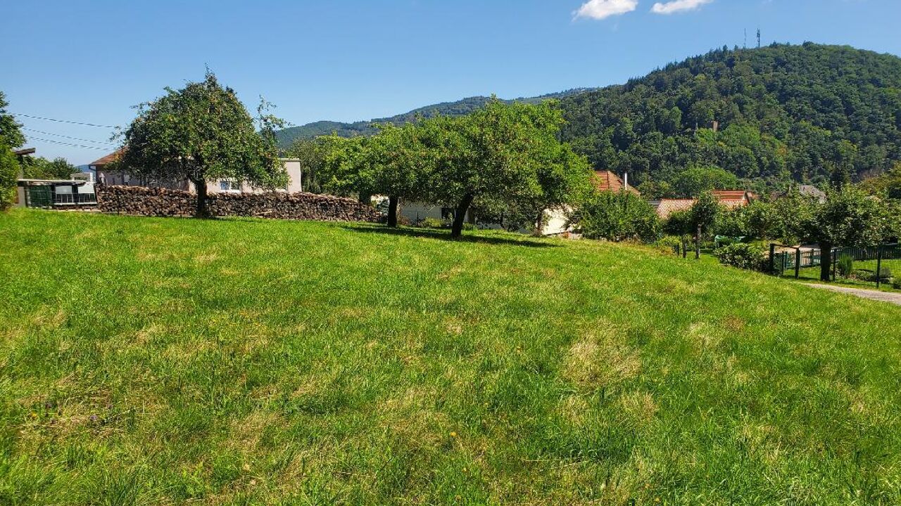 terrain  pièces 1230 m2 à vendre à La Broque (67130)