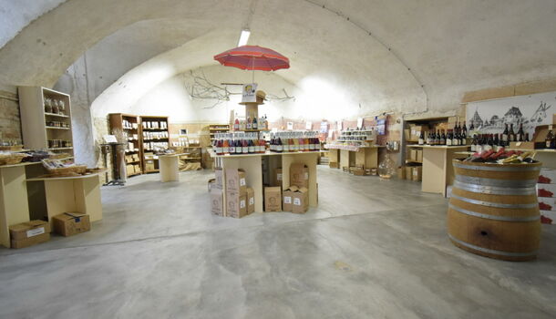 Propri&eacute;t&eacute;  à vendre Cluny 71250