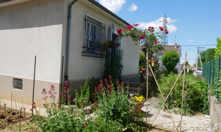 Photo N° 2