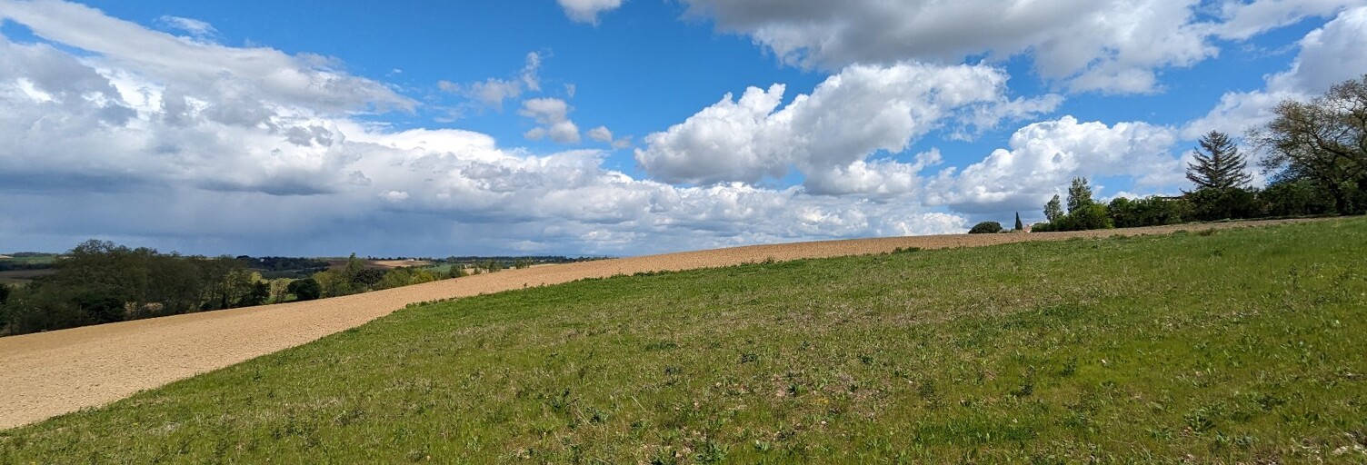 Terrain  1023 m² à vendre à Nailloux (31560)
