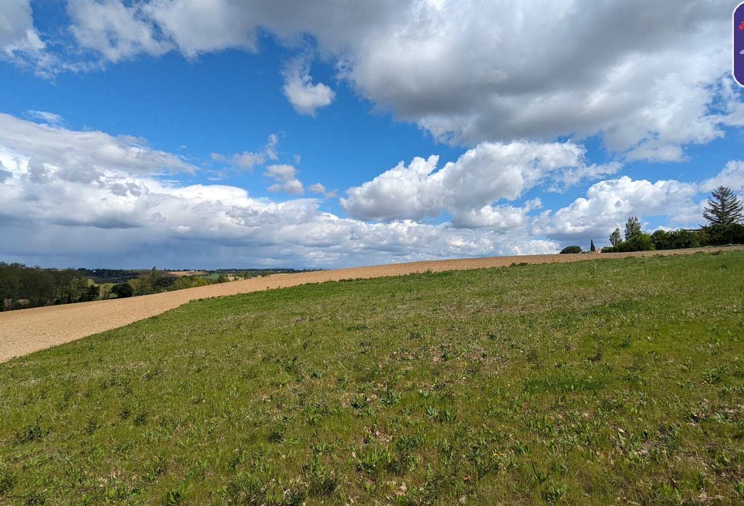 Vente terrain  1023 m² Nailloux (31560) — photo 1