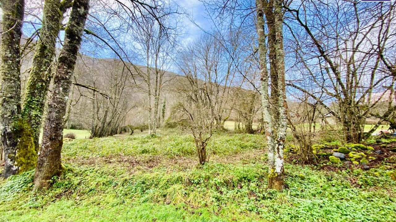 terrain  pièces 1528 m2 à vendre à Bonac-Irazein (09800)