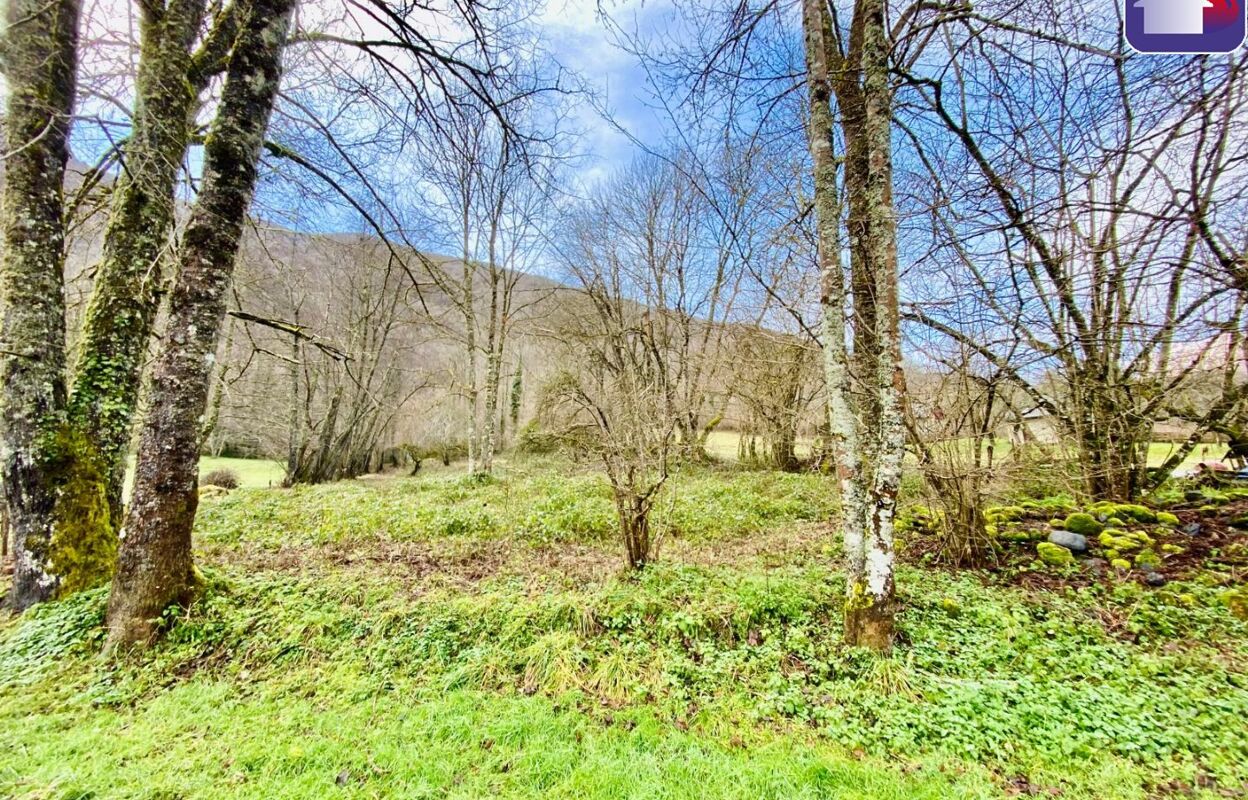 terrain  pièces 1528 m2 à vendre à Bonac-Irazein (09800)