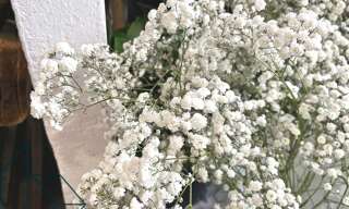 Commerce  64 m² à vendre à Sarzeau (56370)