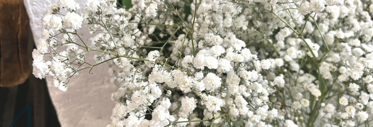 Commerce  64 m² à vendre à Sarzeau (56370)