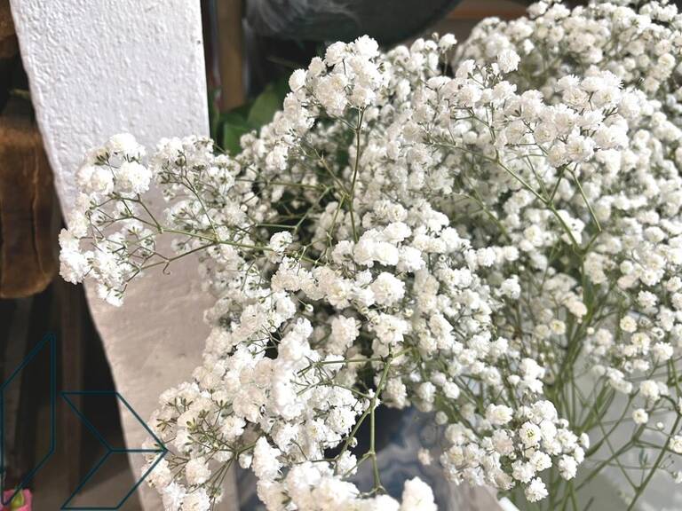 Fonds de commerce Fleuriste — photo 1