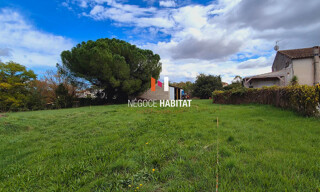 Photo N° 3