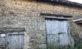 Photo N° 8