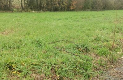 terrain  pièces 800 m2 à vendre à Bourg (33710)