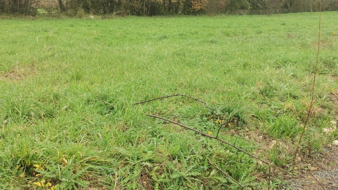 terrain  pièces 800 m2 à vendre à Bourg (33710)