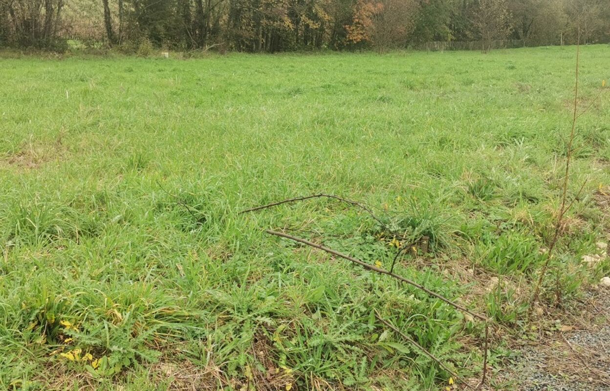 terrain  pièces 800 m2 à vendre à Bourg (33710)