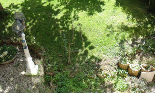 Photo N° 9