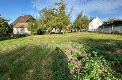 vente maison 245 000 € à proximité de Zillisheim (68720)