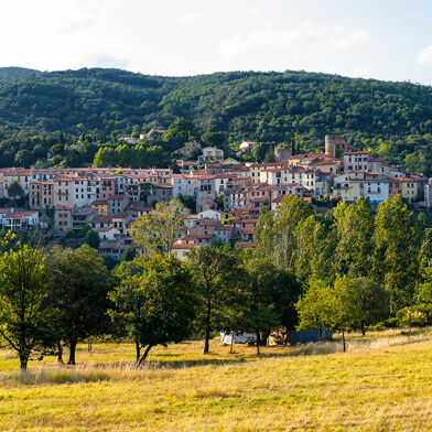 Local industriel  81000 €