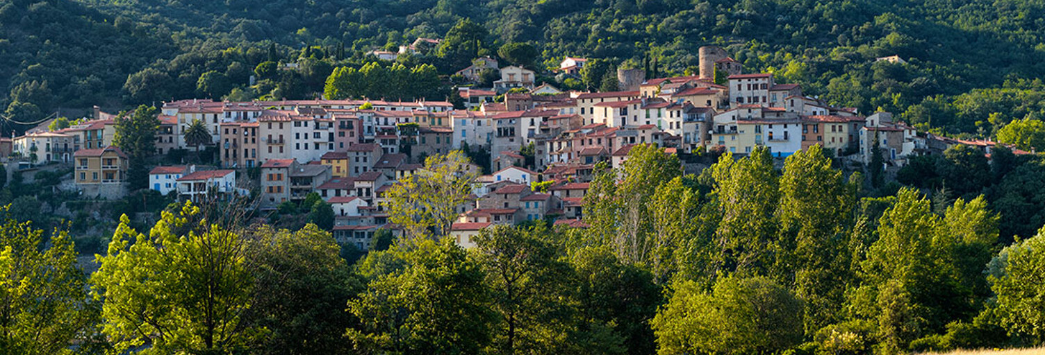 Local industriel  495 m² à vendre à Amélie-les-Bains-Palalda (66110)