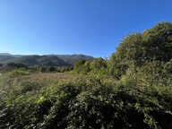Terrain - 495 — photo 2
