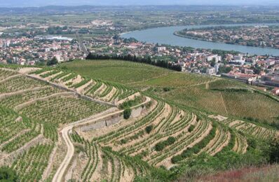 terrain 600 m2 à construire à Tain-l'Hermitage (26600)