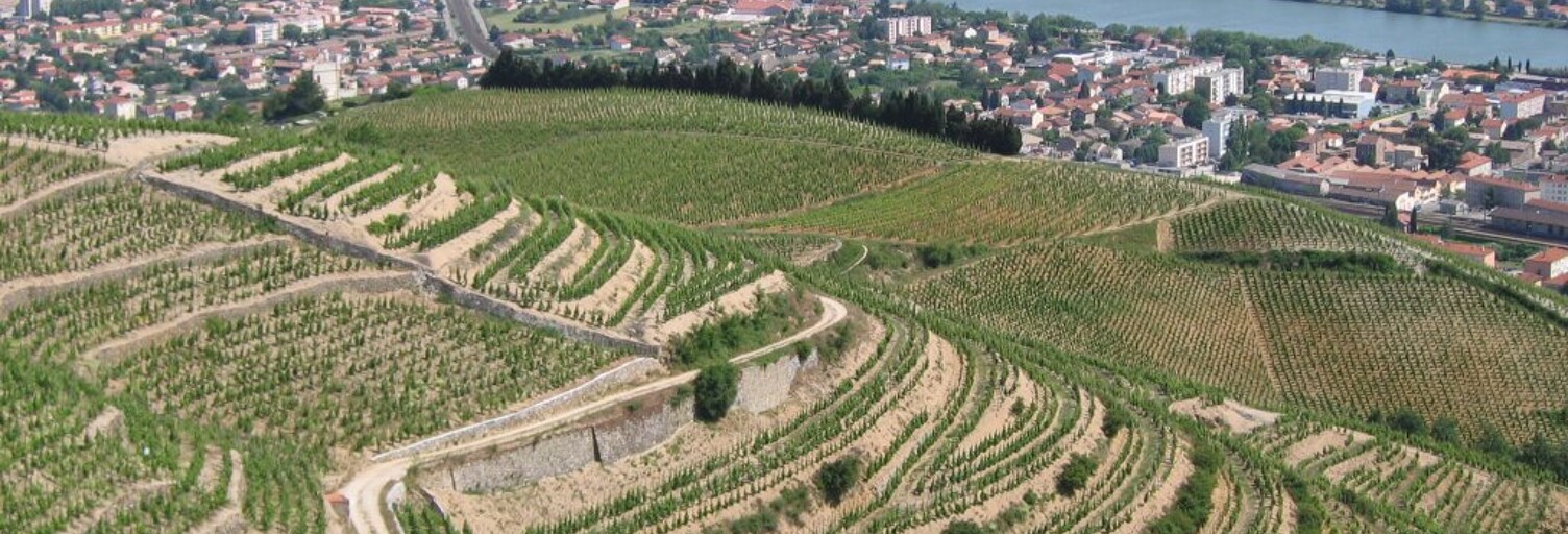 Terrain 600 m² à construire Tain-l'Hermitage (26600)