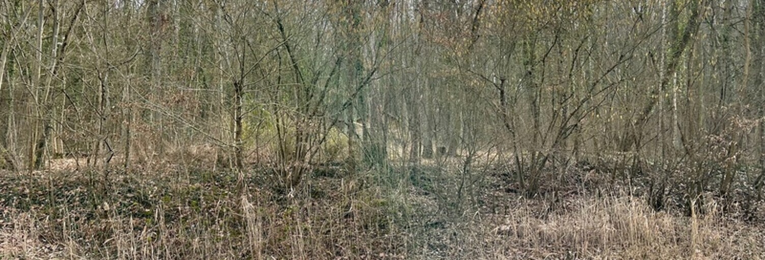 Terrain  61797 m² à vendre à Malroy (57640)