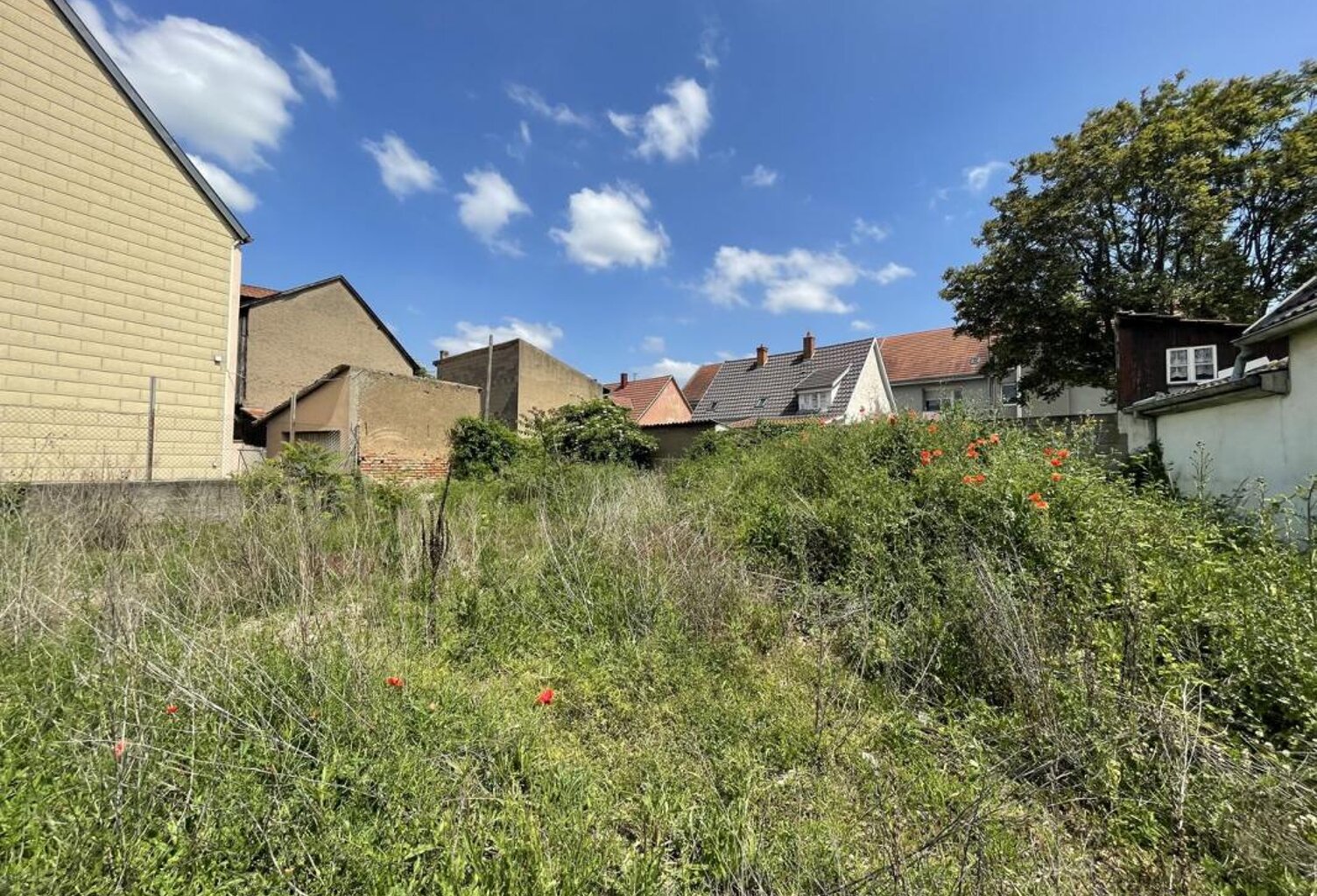 Terrain - 583m ² — photo 1