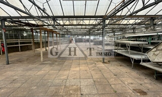 Photo N° 4