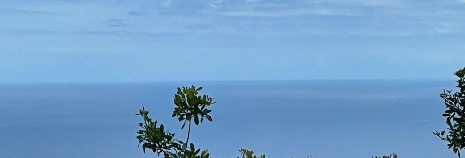 Terrain  3650 m² à vendre à Saint-Leu (97436)