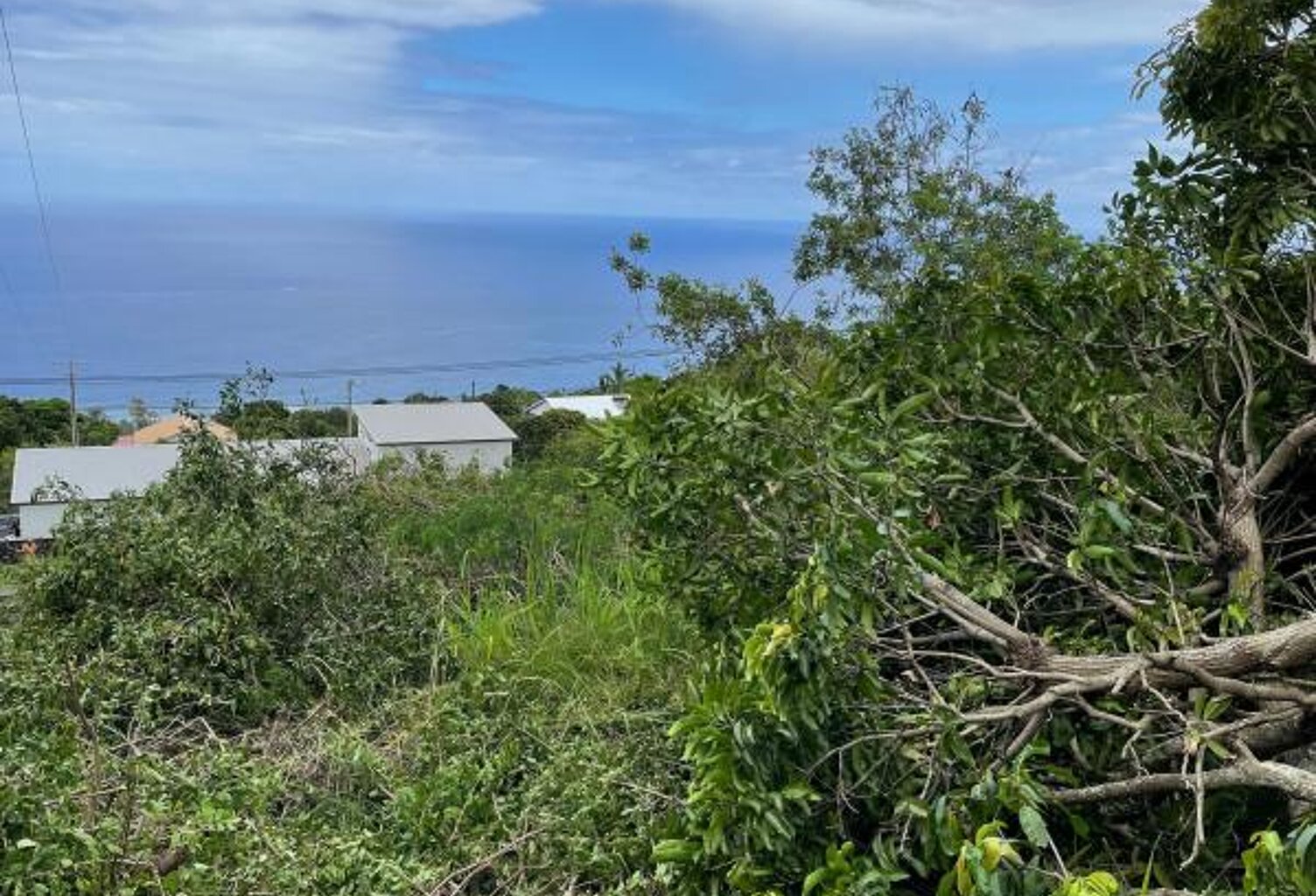 ORPI SAINT LEU - Terrain À Vendre 3 500 m² — photo 1
