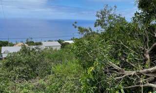 Terrain  3650 m² à vendre à Saint-Leu (97436)