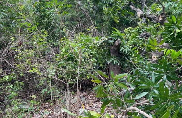 ORPI SAINT LEU - Terrain À Vendre 3 500 m² — photo 2