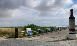 Photo N° 4
