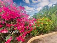 Spacieuse Villa 3 chambres - Baie Orientale (Saint Martin) — photo 4