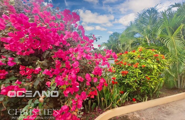 Spacieuse Villa 3 chambres - Baie Orientale (Saint Martin) — photo 4