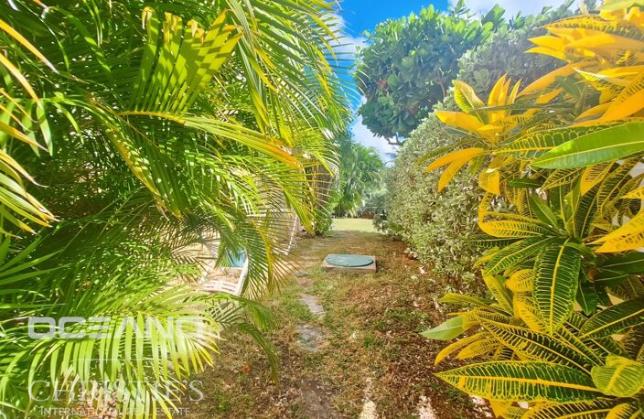 Spacieuse Villa 3 chambres - Baie Orientale (Saint Martin) — photo 5