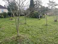 Terrain à construire  1000 m²  — photo 2