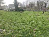 Terrain à construire  1000 m²  — photo 4