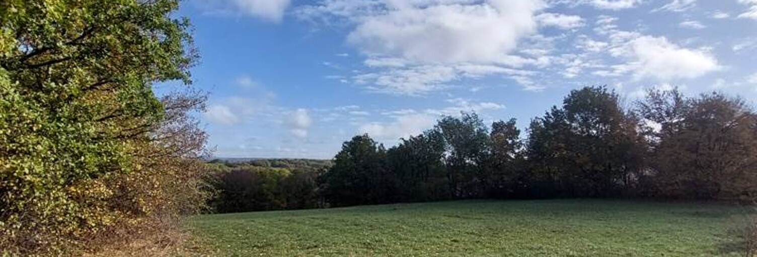 Terrain  4368 m² à vendre à Vailhourles (12200)