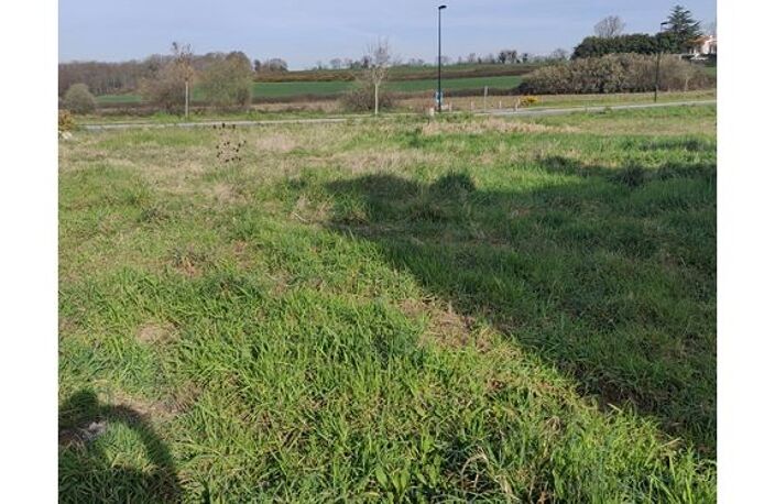 Terrain - 503m ² — photo 2