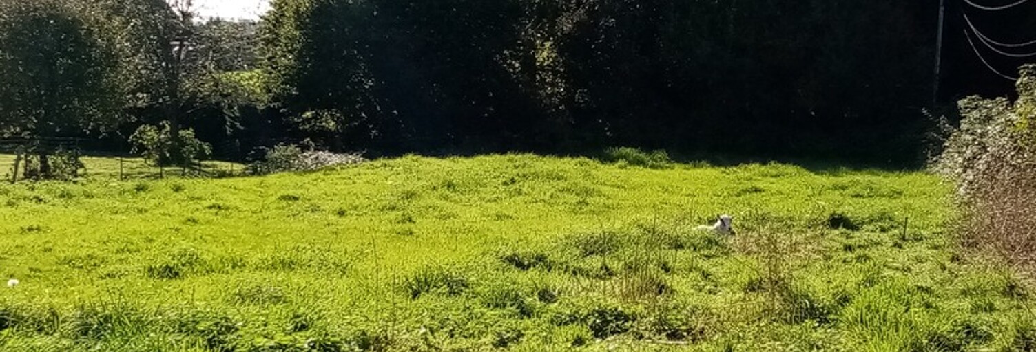 Terrain  1300 m² à vendre à Cany-Barville (76450)