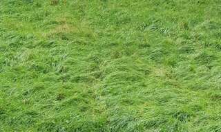 Maison  917 m² à vendre à Mirecourt (88500)