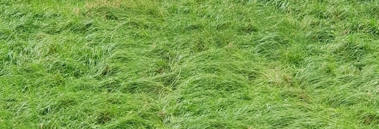 Maison  917 m² à vendre à Mirecourt (88500)