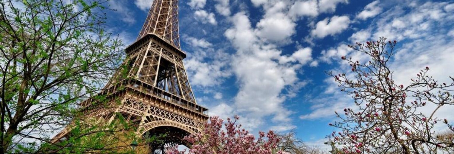 Appartement 1 Pièce 17 m² à louer à Paris 15 (75015)