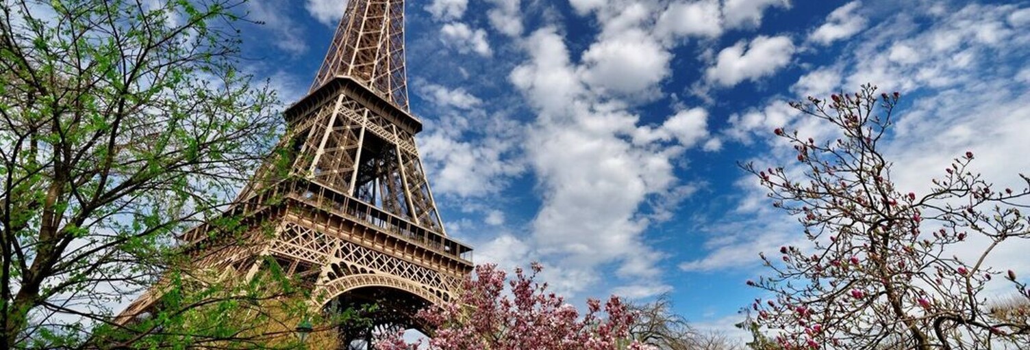 Appartement 1 Pièce 17 m² à louer à Paris 15 (75015)