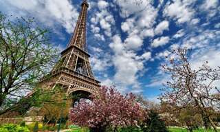 Appartement 1 Pièce 17 m² à louer à Paris 15 (75015)