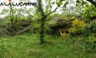 Terrain  2672 m² à vendre à Guémené-Penfao (44290)
