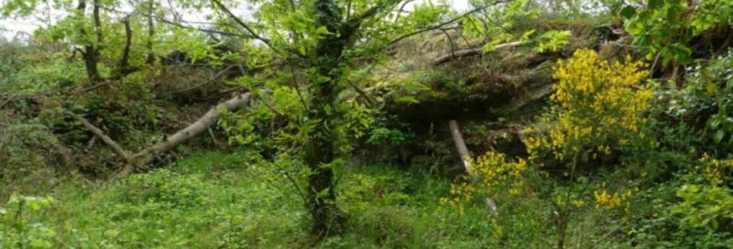 Terrain  2672 m² à vendre à Guémené-Penfao (44290)