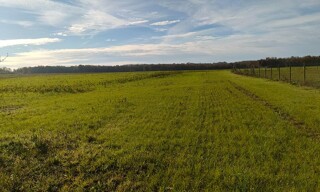 Photo N° 3