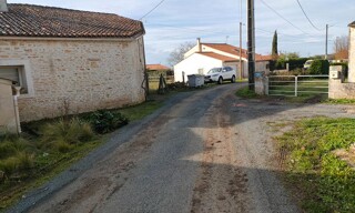 Photo N° 4