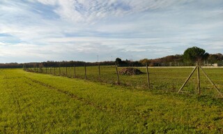 Photo N° 6
