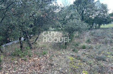 vente terrain 130 000 € à proximité de Le Collet-de-Dèze (48160)